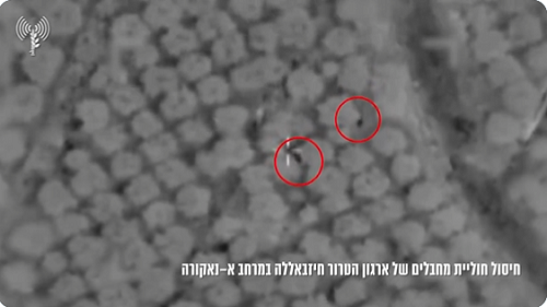 Video: IDF terminates two Hezbollah terrorists