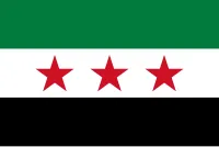 Syrian rebels topple President Assad